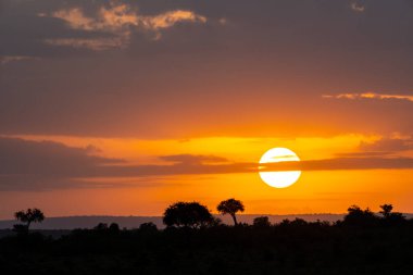 Kenya, Afrika 'daki Masai Mara üzerinde güzel turuncu renkli gün doğumu