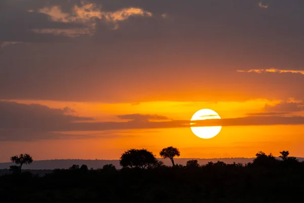 stock image Beautiful orange colorful sunrise over the Masai Mara in Kenya, Africa