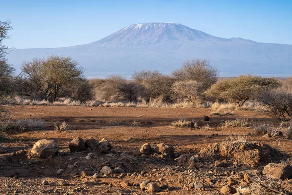 Kenya 'daki Ambroseli Milli Parkı' ndan sabahın erken saatlerinde görülen Kilamanjaro Dağı.