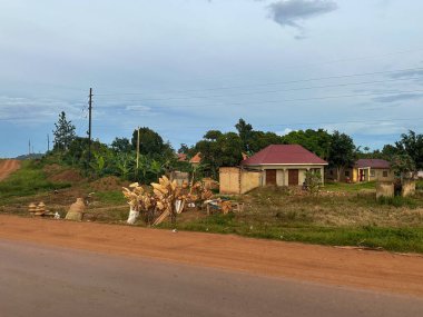 Uganda, Afrika - 25 Mart 2023: Tipik yol kenarı tezgahları, kırsal bir köyde lif satışı