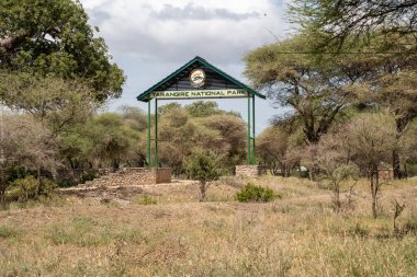 Tanzanya, Afrika - 13 Mart 2023: Filleri ve baobob ağaçlarını görmek için popüler bir vahşi yaşam safari alanı olan Tarangire Ulusal Parkı 'na hoşgeldiniz ve giriş işareti