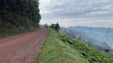 Uganda, Afrika - 25 Mart 2023: Uganda kırsalında, güneşli bir günde dağlarda, insanlar geçerken ve kamyonlar geçerken
