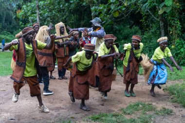 Rushaga, Bwindi Engellenemez Orman Ulusal Parkı, Uganda - 24 Mart 2023: Batwa pigme kabilesi halkı geleneksel bir dans gösterisi sergiliyor