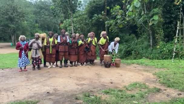 Rushaga Bwindi Parque Nacional Floresta Impenetrável Uganda Março 2023 Batwa — Vídeo de Stock