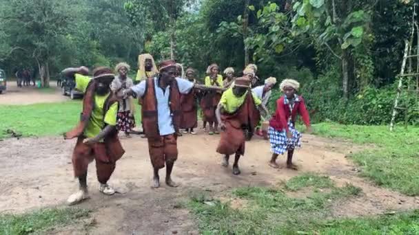 Rushaga Bwindi Impenetrable Forest National Park Uganda March 2023 Batwa — 비디오