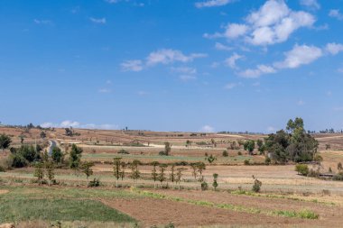 Kenya Afrika kırsalının tipik manzarası, tarım arazisi