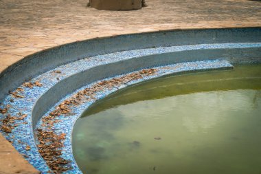 Kirlenmiş, yeşil yağmur suyuyla dolu terk edilmiş eski bir yüzme havuzu. Zanzibar Tanzanya Hapishane Adası 'nda çekildi