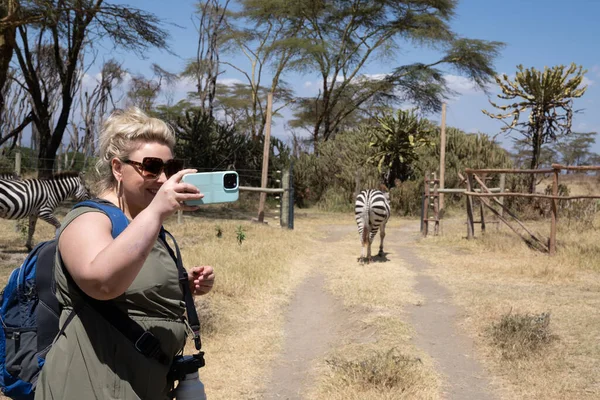 Happy Tourist Woman Takes Selfie Zebra Background While Walking Safari — Stockfoto