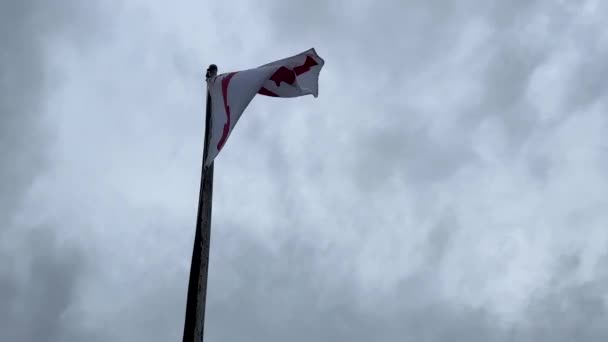 Σημαία Που Φέρουν Στο Συννεφιασμένο Ουρανό Βουργουνδική Saltire Σταυρός Της — Αρχείο Βίντεο