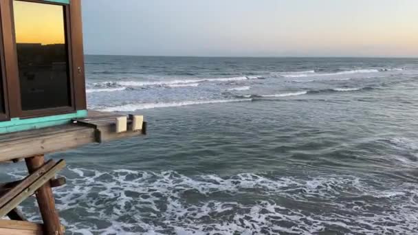플로리다주 해변에서 바다를 바라보고 — 비디오