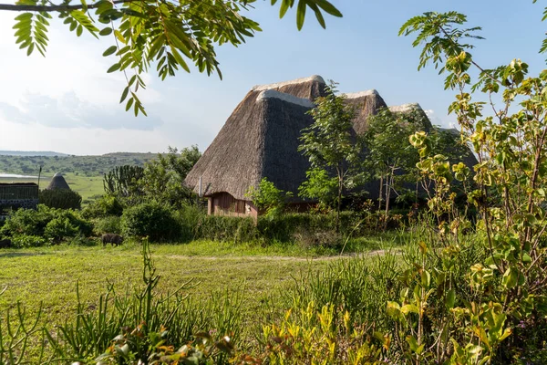 stock image Typical outoor hut lodging at a safari lodge accomidations for toursts, in Uganda, with thatched roof