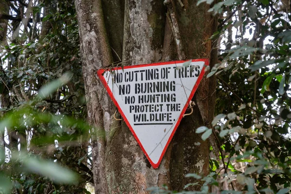 Знак Лісі Різання Дерев Печіння Полювання Захист Дикої Природи — стокове фото