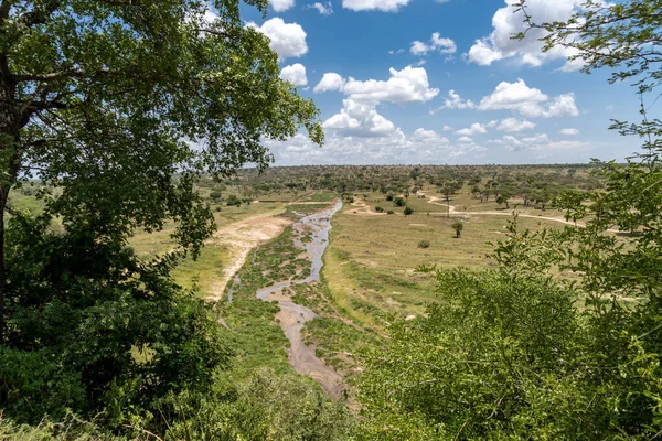 stock image Green landscape of Tarangire National Park Tanzania, looking down on a river