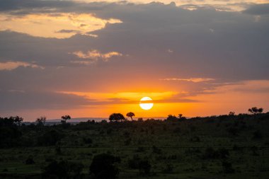 Kenya, Afrika 'daki Masaai Mara Rezervi' nde gün doğumu. Renkli gökyüzü