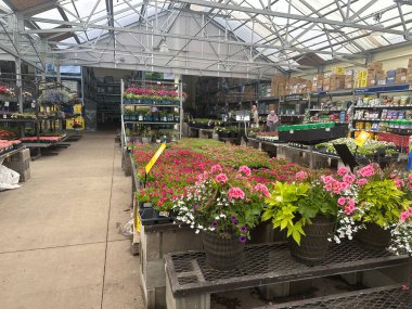 Maple Grove, Minnesota - 7 Mayıs 2023 Lowes Home Improvement mağazasının içinde, bahçe merkezinde çiçek, bitki ve tohum satılıyor.
