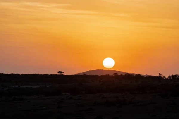 Ikonischer Afrikanischer Sonnenuntergang Und Orangefarbener Himmel Mit Großer Sonne Über — Stockfoto