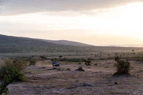 Quênia África Março 2023 Safari Toyota Land Cruiser Dirige Trilhas — Fotografia de Stock