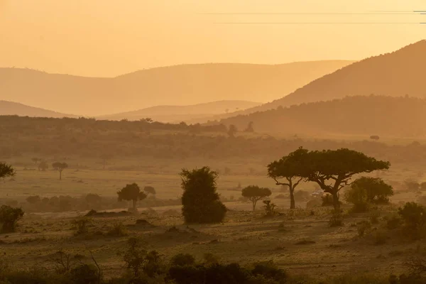 Kultowa Scena Pomarańczowego Zachodu Słońca Rezerwacie Masaai Mara Kenii Scena — Zdjęcie stockowe