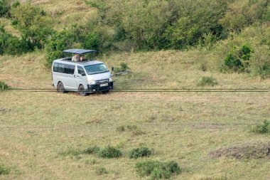 Kenya, Afrika - 10 Mart 2023: Safari minibüsündeki turistler Masaai Mara Rezervi 'nin çalılıklarında yaban hayatı arıyorlar