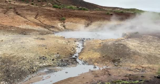 Пар Опасного Горячего Источника Зельтунской Геотермальной Зоне Полуострове Рейкьянес Исландии — стоковое видео