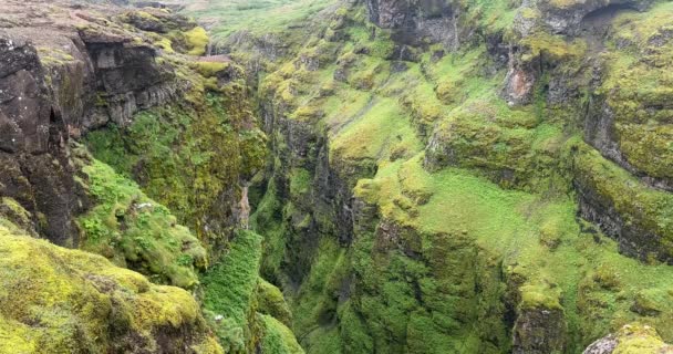 Glymur Wasserfall Island Der Zweithöchste Wasserfall Islands — Stockvideo
