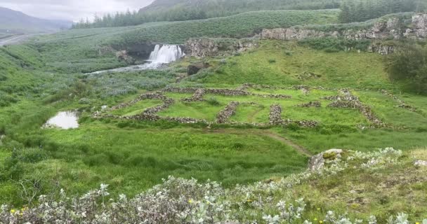 Wodospad Laxfoss Islandii Latem — Wideo stockowe