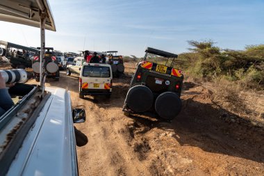 Nairobi, Kenya - 18 Mart 2023: Nairobi Ulusal Parkı 'nda bir aslanı görmek için bekleyen safari araçlarının trafik sıkışıklığı