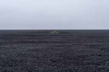 Rocky, İzlanda 'da siyah kum ve çakıllı kaya plajı. Minimalist manzara, insan yok.