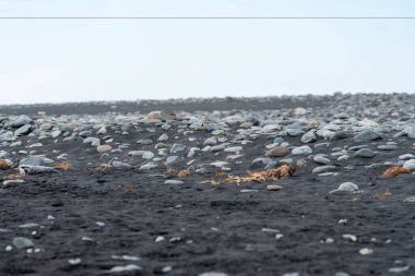 İzlanda 'daki Diamond Sahili' ndeki siyah kumsalda kayalar. Seçici odak, minimalist manzara