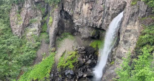 Cachoeira Svartifoss Parque Nacional Skaftafell Com Suas Famosas Colunas Basalto — Vídeo de Stock