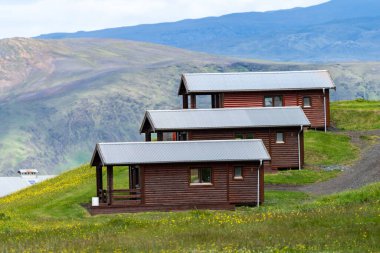 İzlanda 'da ağaç kulübeler, kır çiçekleri ve dağlarda ilginç bir sıra.
