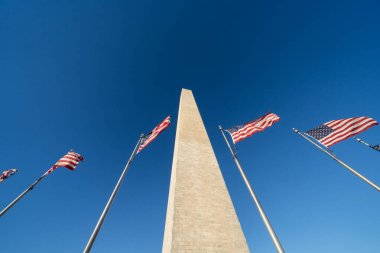 Birkaç Amerikan bayrağı ve Washington Anıtı yukarı bakıyor.