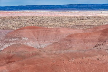 Arizona 'daki Taşlaşmış Orman Ulusal Parkı' nın boyalı çöl manzarası çok güzel.