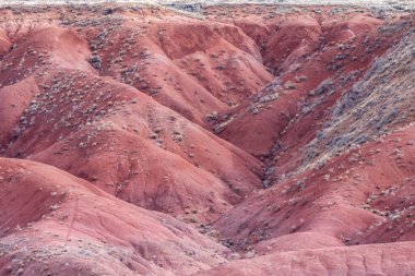 Arizona 'daki Taşlaşmış Orman Ulusal Parkı' nın boyalı çöl manzarası çok güzel.