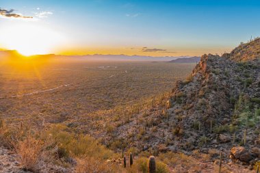 Saguaro ve cholla kaktüsüyle Tuscon, AZ Gates Geçidi üzerinde renkli ve güzel bir günbatımı.