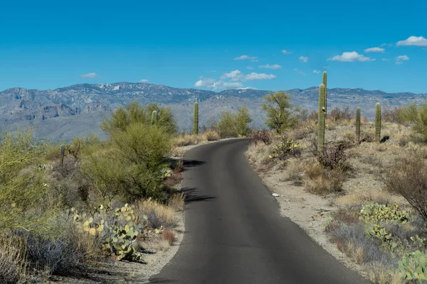 Saguaro Ulusal Parkı 'ndan Doğu Tucson Arizona' ya giden yol