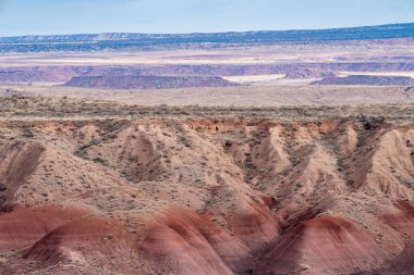 Arizona 'daki Taşlaşmış Orman Ulusal Parkı' nın boyalı çöl manzarası çok güzel.
