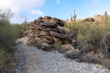 Mormon ve Saklı Vadi yolu Phoenix Arizona yakınlarındaki South Mountain Park 'ta.