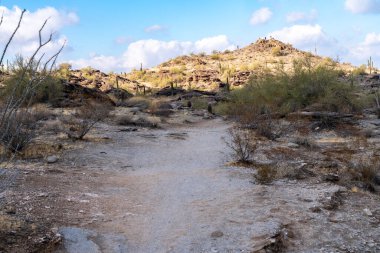 Mormon ve Saklı Vadi yolu Phoenix Arizona yakınlarındaki South Mountain Park 'ta.