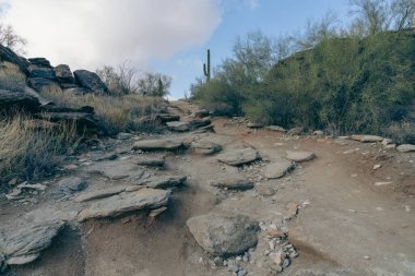 Mormon ve Saklı Vadi yolu Phoenix Arizona yakınlarındaki South Mountain Park 'ta.