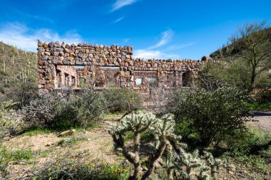 Bowen Stone Homestead Harabeleri, Tucson Dağı Parkı, Tucson Arizona