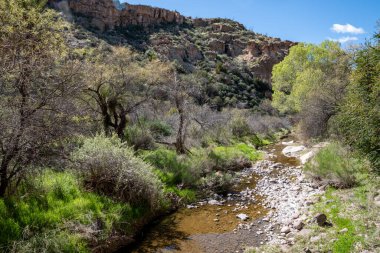 Kraliçe Deresi Boyce Thompson Botanik Bahçesi 'nden akıyor.