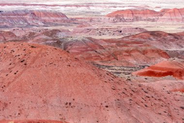 Arizona 'daki Taşlaşmış Orman Ulusal Parkı' nda boyalı çöl.