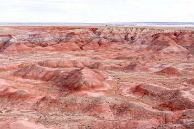 Arizona 'daki Taşlaşmış Orman Ulusal Parkı' nda boyalı çöl.
