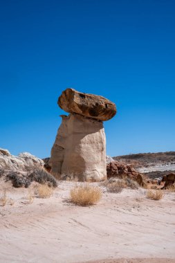 Toadstools patikası boyunca ilginç bir mantar kaya oluşumu - Büyük Merdiven-Escalante Ulusal Anıtı, Utah
