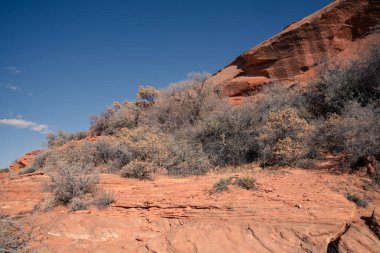 Asma Bahçe Yolu - Arizona Sayfası