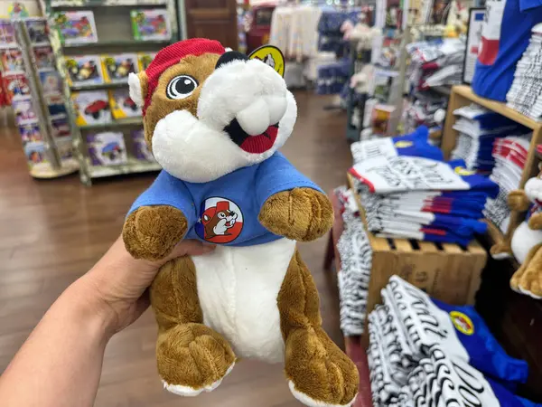 stock image Temple, Texas - June 28, 2024: Hand holds a Texas special edition Buc-Ee beaver mascot stuffed animal plush toy for sale at a Buc-Ees gas station