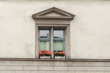 Çiçekli güzel bir pencere, saksıda bitkiler. Schaffhausen İsviçre 'de çekildi