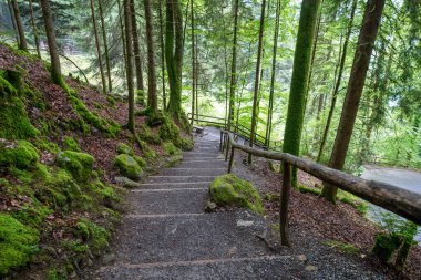 İsviçre, Brienz Gölü 'nde Giessbach Şelalesi' ne giden patika.