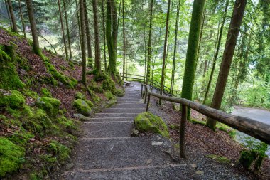 Trail to Giessbach Falls waterfall at the Lake Brienz, Switzerland clipart